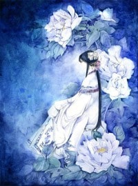 我的绝色明星老婆林枫